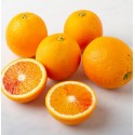 Red Oranges of Sicily (Sanguinella) Organic 10 kg