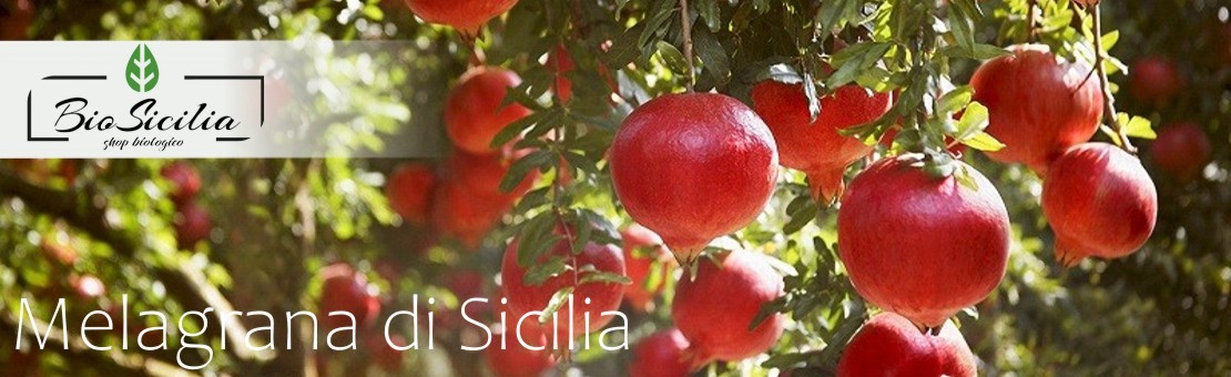 Bio Sicilia di Cracchiolo