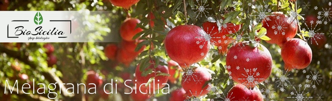 Bio Sicilia di Cracchiolo